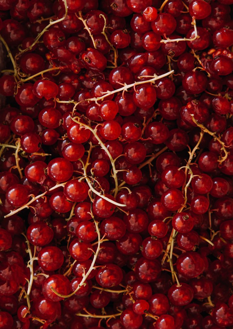 Johannisbeer-Himbeer Galette mit Mandelkruste - HOUSE NO 44