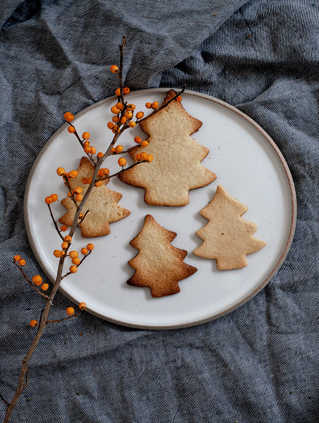 Kreative-Weihnachtsplätzchen-und-Kuchen-für-die-AdventszeitIMG_8292