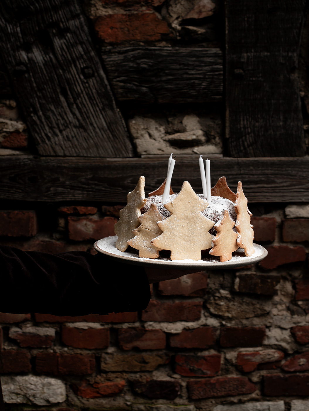 Kreative-Weihnachtsplätzchen-und-Kuchen-für-die-AdventszeitIMG_8811