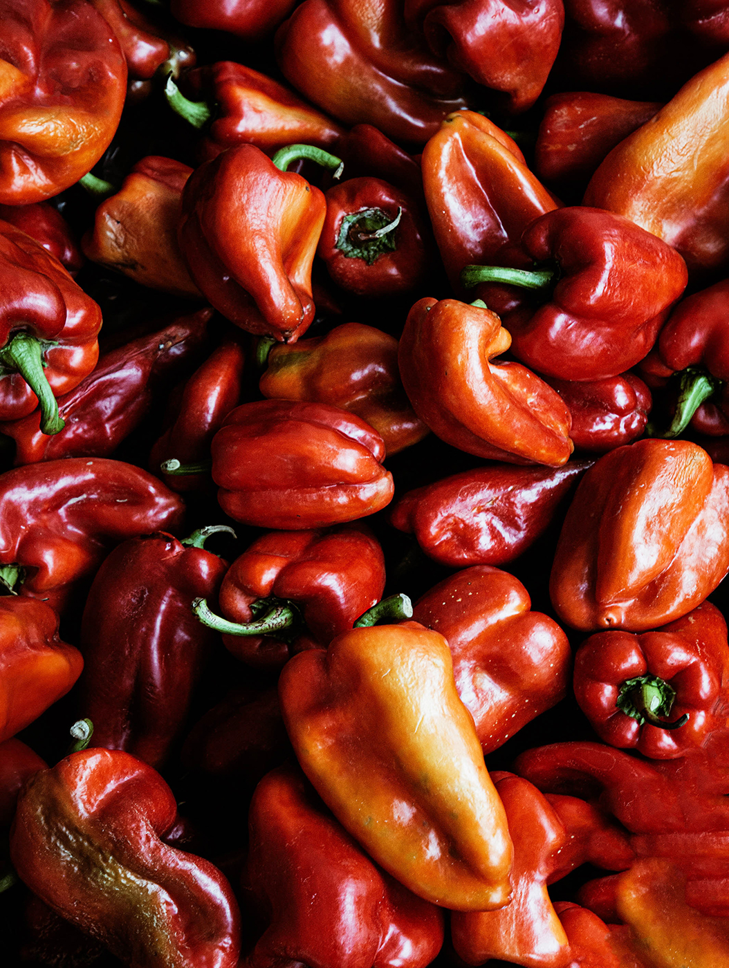 Ajvar Zubereitung Ajvar Zubereitung HOUSE NO 44